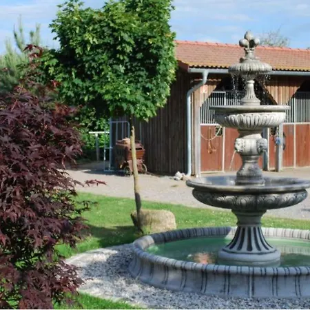 Gestuet Tiefenhof Nittenau