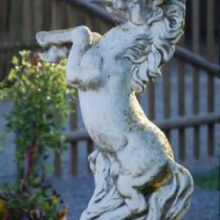Gestuet Tiefenhof 公寓 尼特瑙
